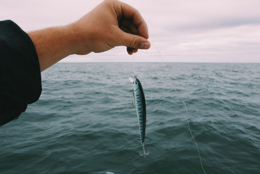 pessoa segurando peixe capturado em um dos lugares para pescar em SP