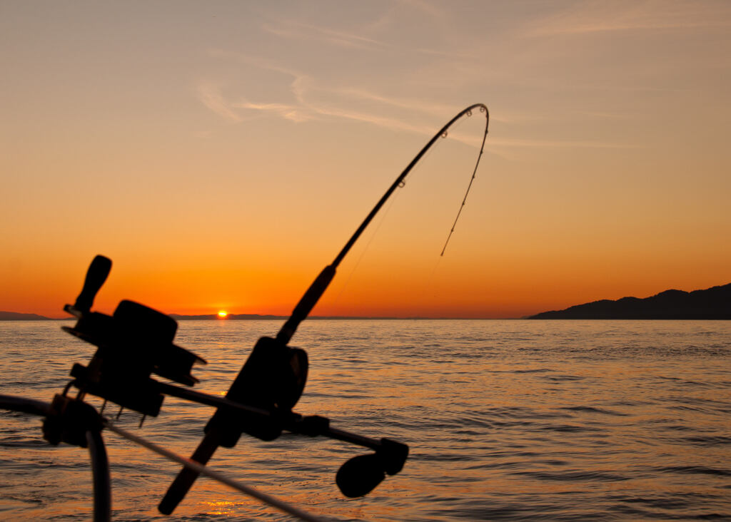 vara de pescar representando os tipos de pesca